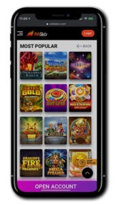 Wild Slots Casino Mobile screenshot